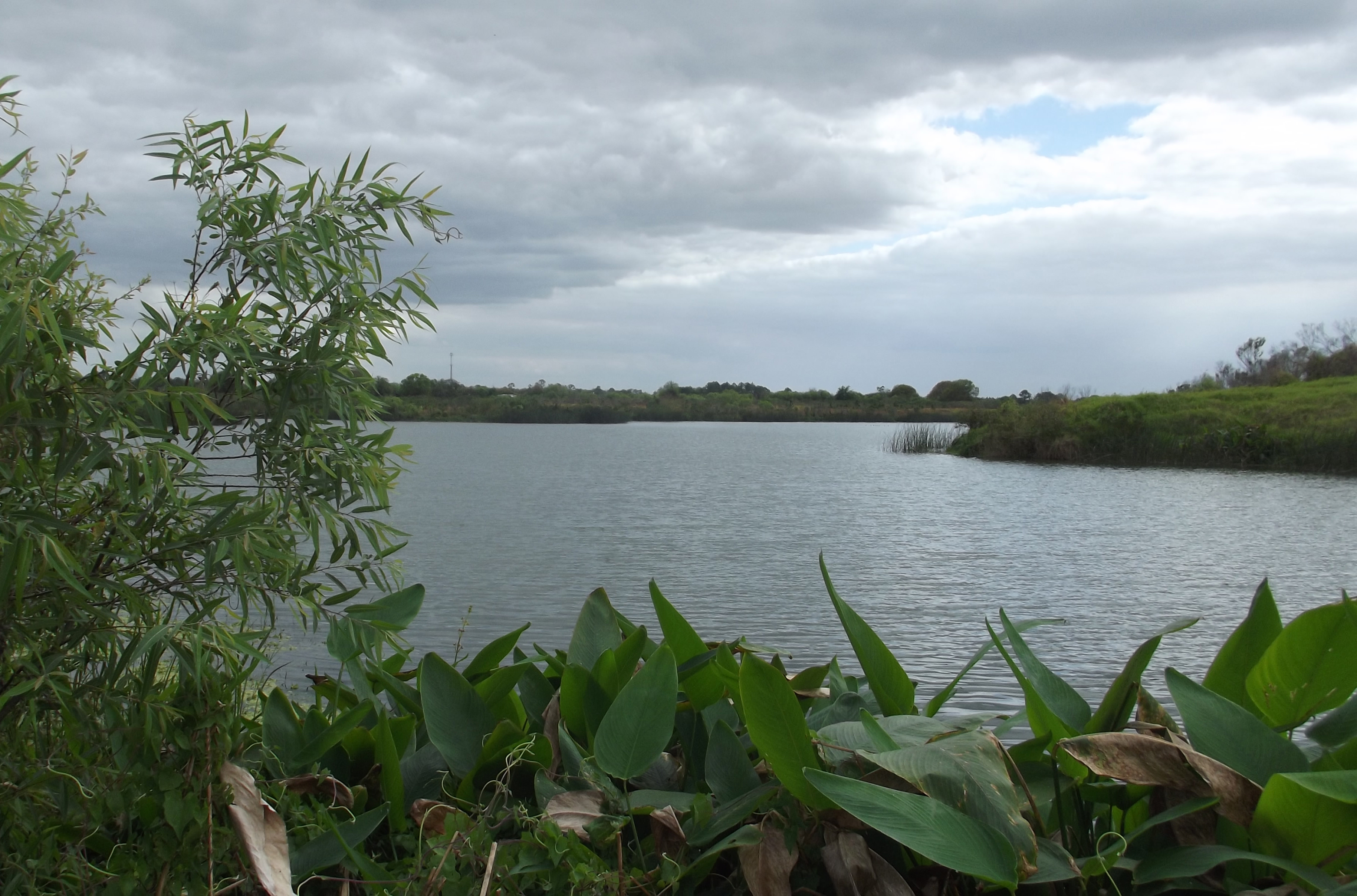 alafia river wetland florida